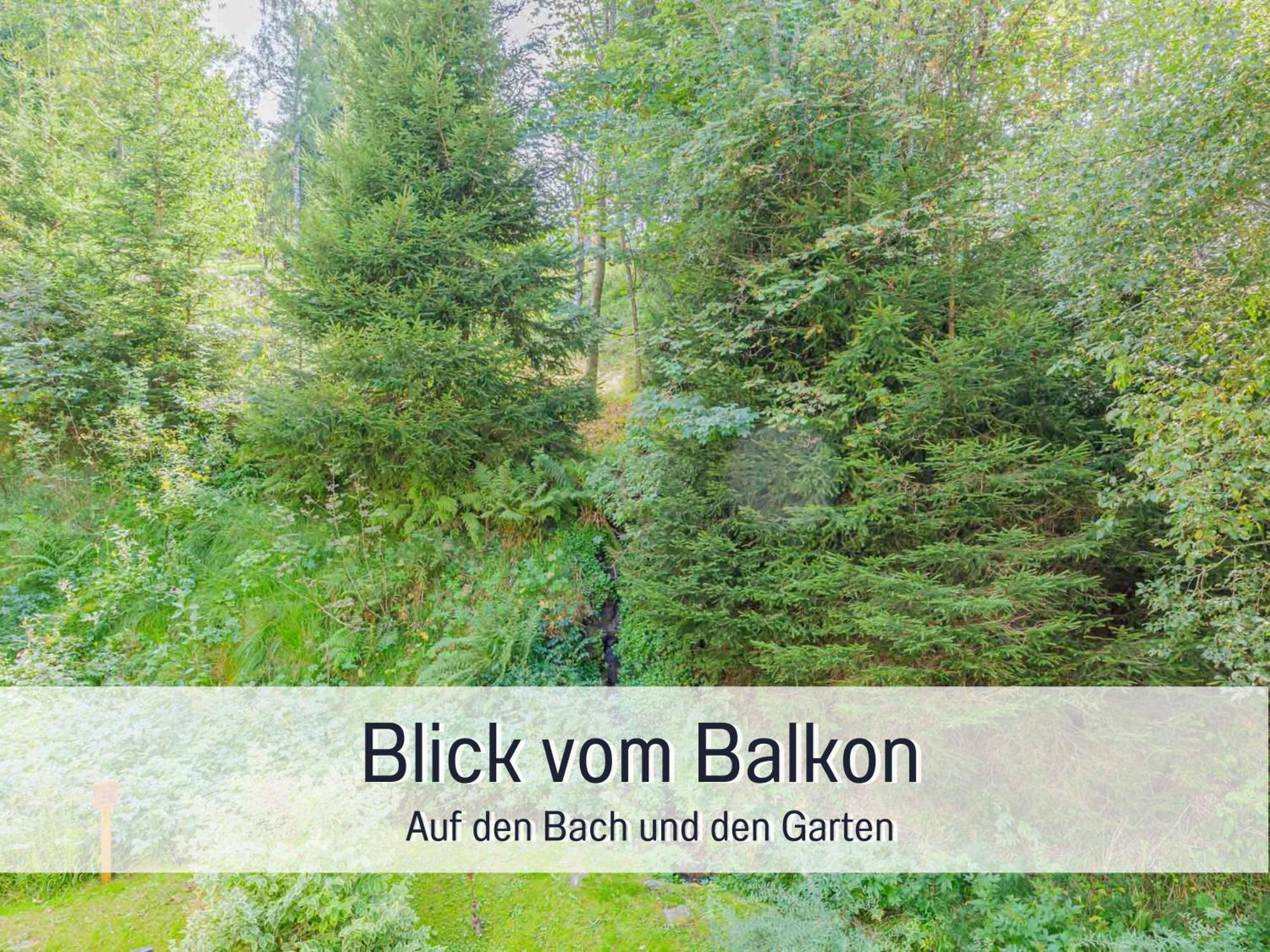 Baechle Im Wanderparadies Balkon Mit Blick Auf Den Bach Sauna Im Haus Tiefgarage E-Ladestation Todtnauberg Zewnętrze zdjęcie