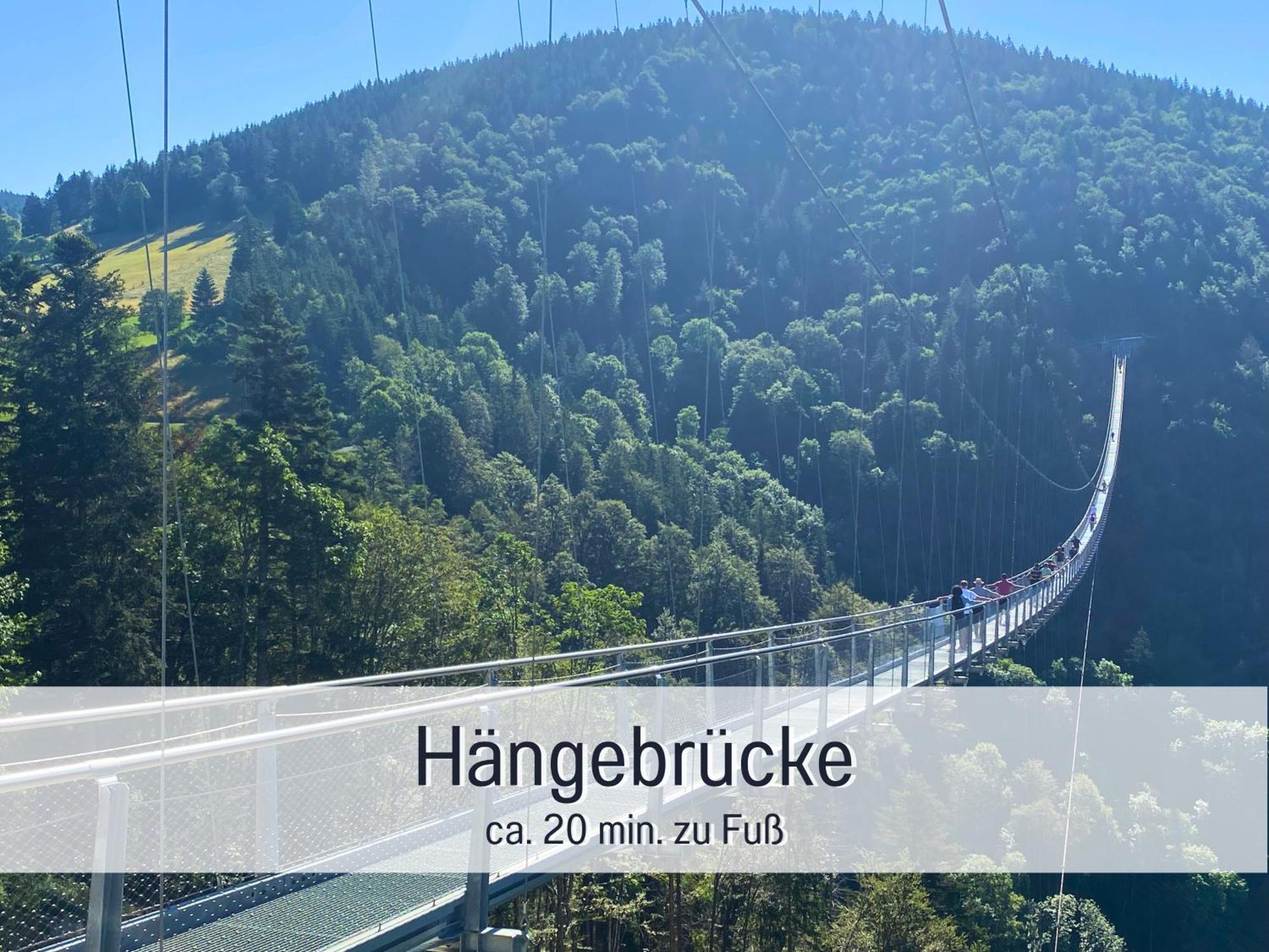 Baechle Im Wanderparadies Balkon Mit Blick Auf Den Bach Sauna Im Haus Tiefgarage E-Ladestation Todtnauberg Zewnętrze zdjęcie